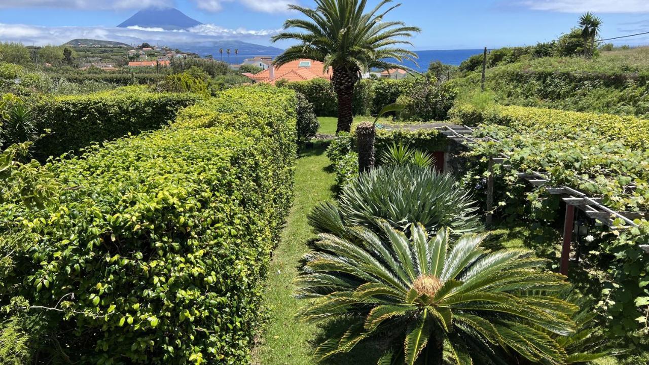Casa Da Japoneira Ξενοδοχείο Horta  Εξωτερικό φωτογραφία