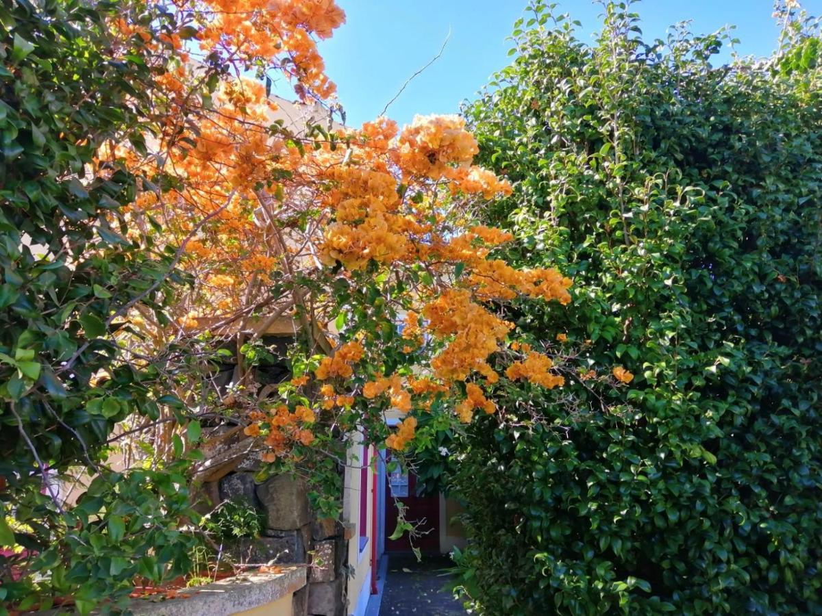 Casa Da Japoneira Ξενοδοχείο Horta  Εξωτερικό φωτογραφία