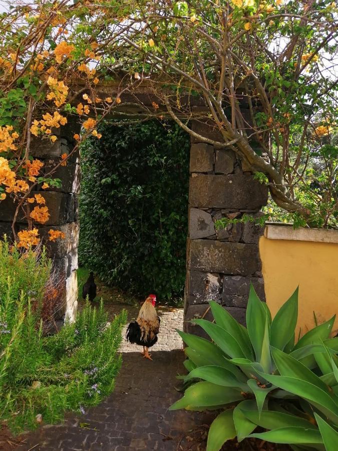 Casa Da Japoneira Ξενοδοχείο Horta  Εξωτερικό φωτογραφία